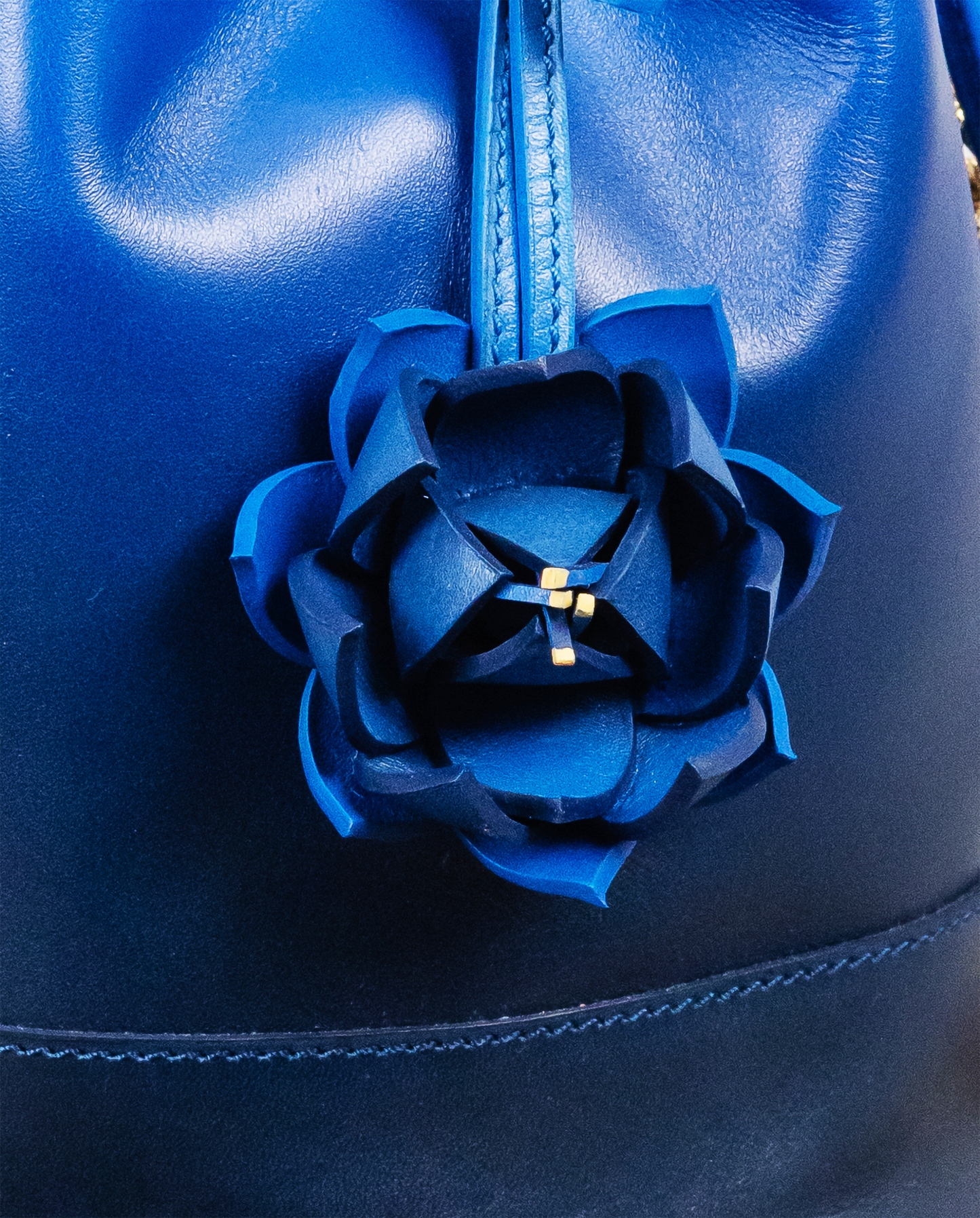 Fleur de lotus bleue
